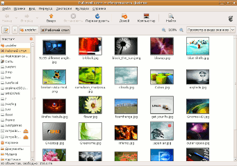 Images in the Gnome Nautilus